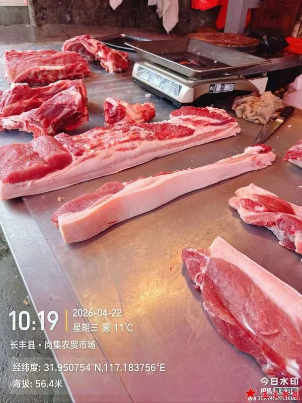 02长丰县·岗集农贸市场  4月22日  10  19.jpg