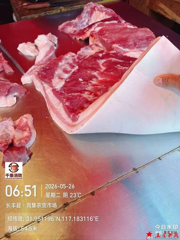 07长丰县·岗集农贸市场  4月26日  6  51.jpg