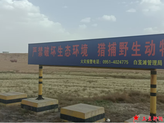 宁夏企业及垃圾侵占破坏白芨滩保护区追踪
